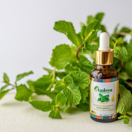 Aceite esencial de Menta