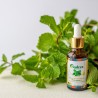 Aceite esencial de Menta
